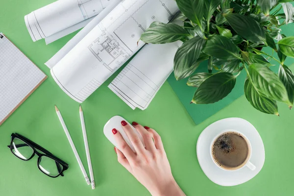 Imagen recortada de la arquitecta usando el ratón de la computadora en la mesa con planos, café y planta - foto de stock