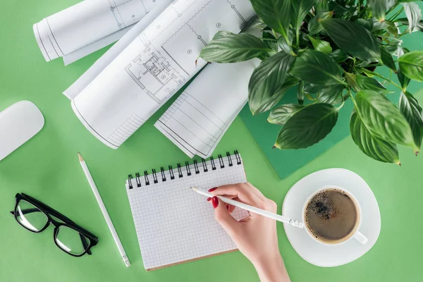 Обрізане зображення жінки-архітектора, що пише в порожньому підручнику за столом з кавою, блакитними відбитками і рослиною — стокове фото