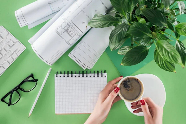 Geschnittenes Bild einer Architektin, die eine Tasse Kaffee am Tisch hält, mit Lehrbuch, Plänen und Pflanzen — Stockfoto