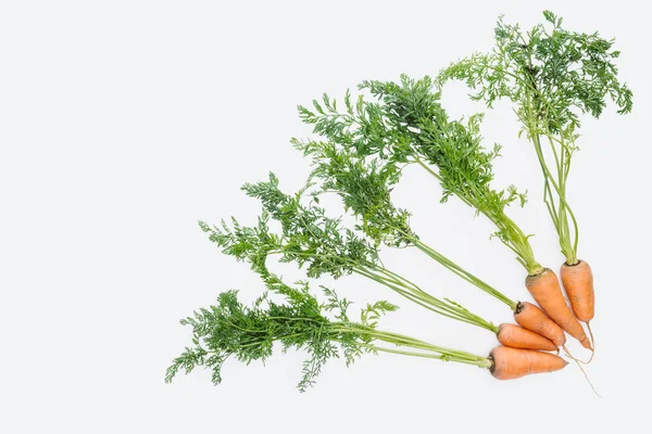 Vista superior de zanahorias frescas dispuestas aisladas en blanco - foto de stock