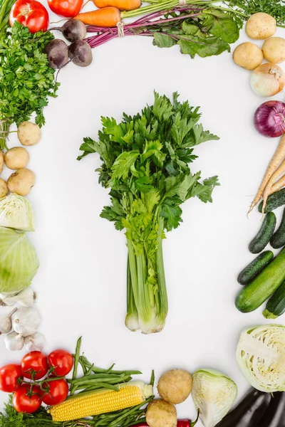 Plat étendu avec divers légumes mûrs de saison avec du céleri au milieu isolé sur blanc — Photo de stock