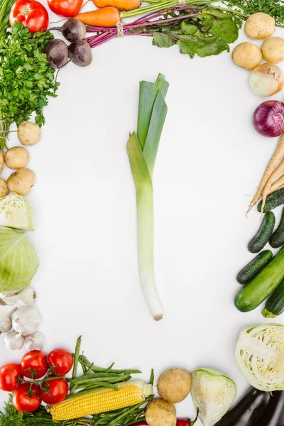 Flache Lage mit verschiedenen reifen Gemüsesorten der Saison mit Porree in der Mitte isoliert auf weiß — Stockfoto