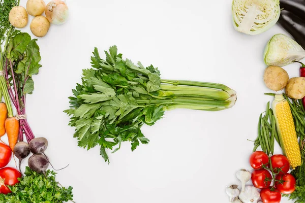 Flache Lage mit verschiedenen saisonal reifen Gemüsen mit Sellerie in der Mitte isoliert auf weiß — Stockfoto