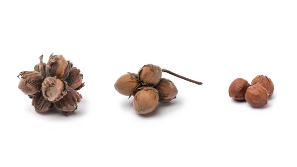 Hazelnuts with and without nutshells isolated on white background — Stock Photo