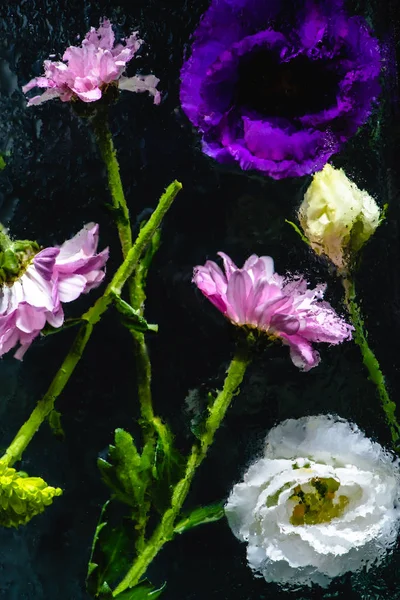 Крупный план влажных розовых, синих и белых цветов с зелеными стемсами на черном — стоковое фото