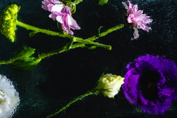 Top view of wet pink, blue and white flowers with green stems on black background — Stock Photo