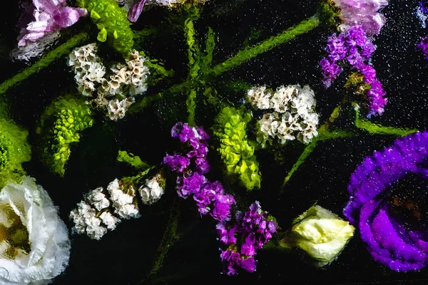 Vue de dessus de belles fleurs humides et des tiges vertes sur noir — Photo de stock