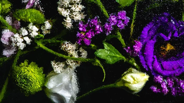 Schöne verschiedene nasse Blumen auf schwarzem Hintergrund — Stockfoto