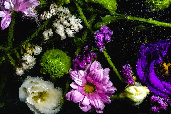 Draufsicht auf schöne verschiedene nasse Blumen auf schwarzem Hintergrund — Stockfoto