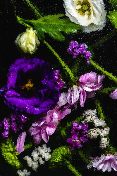 Close-up view of beautiful various wet flowers on black — Stock Photo