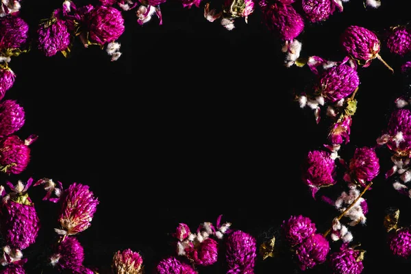Top view of beautiful pink clover flowers isolated on black background — Stock Photo