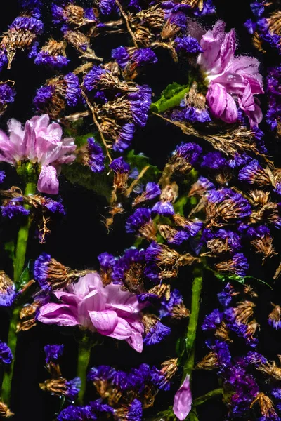 Vista superior de belas flores rosa e azul em preto — Fotografia de Stock