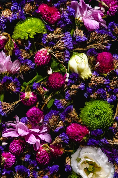 Vue de dessus de diverses belles fleurs en fleurs sur noir — Photo de stock