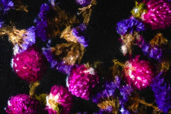 Маленькие голубые и розовые цветы в воде на черном — стоковое фото
