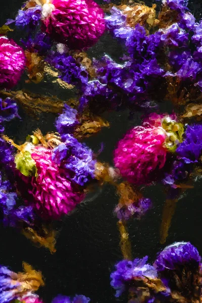 Vista de cerca de pequeñas flores azules y rosadas en agua sobre negro - foto de stock