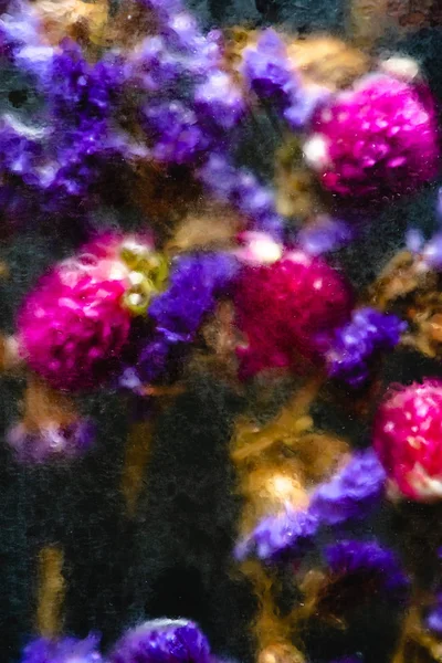 Vista close-up de belas pequenas flores molhadas azuis e rosa — Fotografia de Stock