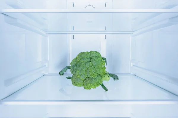 One ripe tasty broccoli in fridge — Stock Photo