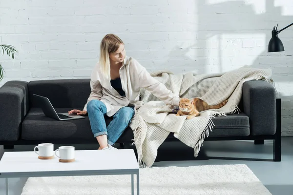 Attraktive Mädchen Palming niedlichen roten Katze auf Sofa im Wohnzimmer und berühren Laptop — Stockfoto