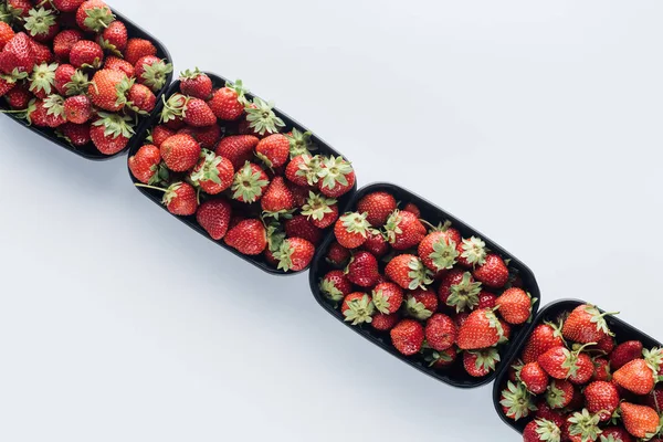 Top view of row of containers with ripe strawberries on white surface — Stock Photo