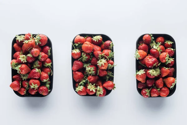 Vue de dessus de la rangée de récipients en plastique avec des fraises mûres sur la surface blanche — Photo de stock