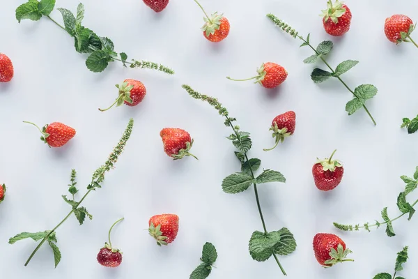 Erdbeeren mit Minzblättern auf weißer Oberfläche von oben — Stockfoto