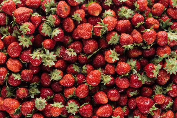 Cuadro completo de fresas maduras para el fondo - foto de stock