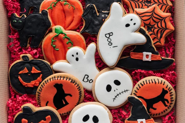 Top view of cardboard box with homemade spooky halloween cookies — Stock Photo