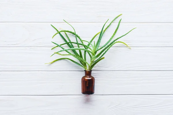 Erhöhte Ansicht einer Flasche natürlichen ätherischen Öls und Aloe Vera auf weißem Holztisch — Stockfoto