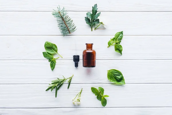 Vista superior de la botella de aceite esencial de hierbas naturales, gotero y plantas verdes en la mesa de madera blanca - foto de stock