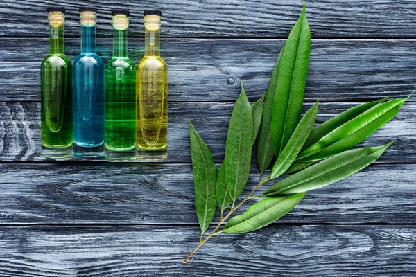 Row of colored bottles with natural herbal essential oils and twig with green leaves on wooden surface — Stock Photo