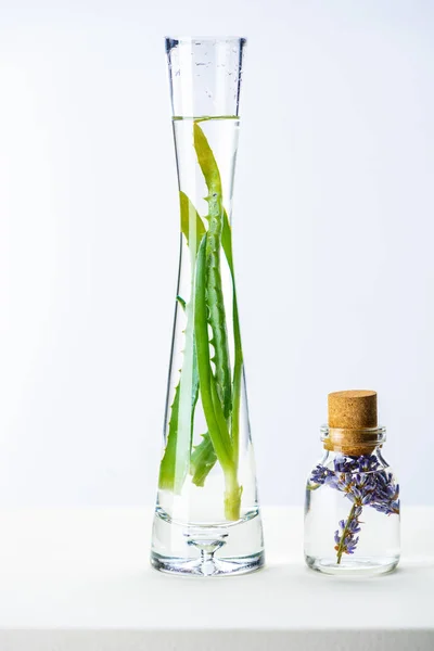 Transparente Flasche und Vase mit natürlichen ätherischen Kräuterölen auf weißer Oberfläche — Stockfoto