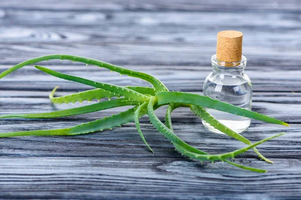 Bottiglia trasparente di olio essenziale naturale alle erbe con sughero e aloe vera su superficie di legno — Foto stock