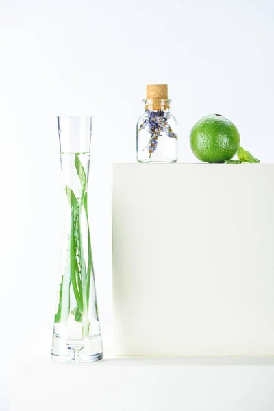 Transparent bottle and vase of natural herbal essential oils and lime on white surface — Stock Photo
