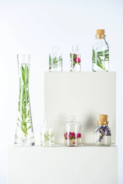 Vase and bottles of natural herbal essential oils with flowers and herbs on white cubes — Stock Photo