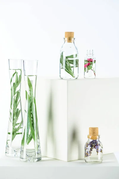 Flaschen und Vasen mit natürlichen pflanzlichen ätherischen Ölen mit Aloe Vera und Blüten auf weißen Würfeln — Stockfoto