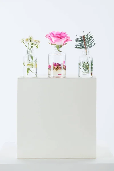Drei Flaschen natürlicher ätherischer Kräuteröle mit Kamillenblüten, Rosen und Tannenzweigen auf weißem Würfel — Stockfoto