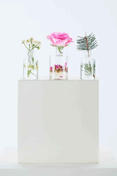 Three bottles of natural herbal essential oils with chamomile flowers, roses and fir twig on white cube — Stock Photo