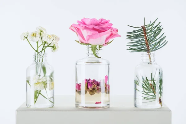 Botellas transparentes de aceites esenciales de hierbas naturales con flores de manzanilla, rosas y rama de abeto en cubo blanco — Stock Photo