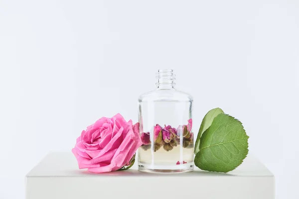 Botella de aceite esencial de hierbas naturales con rosas y hojas en cubo blanco - foto de stock