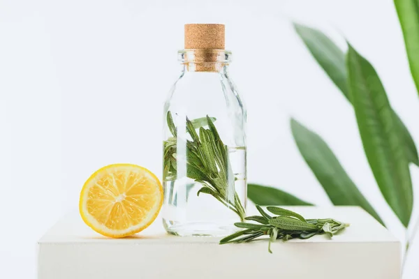 Bouteille transparente d'huile essentielle naturelle à base de plantes avec rameau vert et citron sur cube blanc — Photo de stock