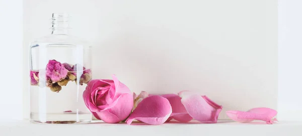 Bottiglia di olio essenziale naturale alle erbe con rose rosa su superficie bianca — Foto stock