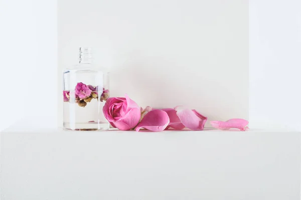 Transparent bottle of natural herbal essential oil with pink roses on white surface — Stock Photo