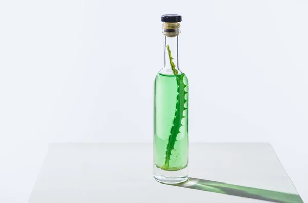 Bouteille transparente d'huile essentielle naturelle à base de plantes avec aloe vera sur cube blanc — Photo de stock