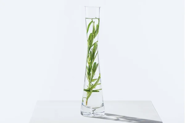 Un vase transparent d'huile essentielle naturelle à base de plantes avec des brindilles sur la surface blanche — Photo de stock