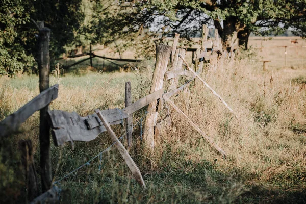 Vista panoramica di recinzione in legno e alberi sul prato in campagna — Foto stock