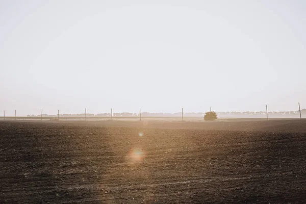 Vue panoramique sur le champ et les tours électriques pendant le coucher du soleil dans la campagne — Photo de stock