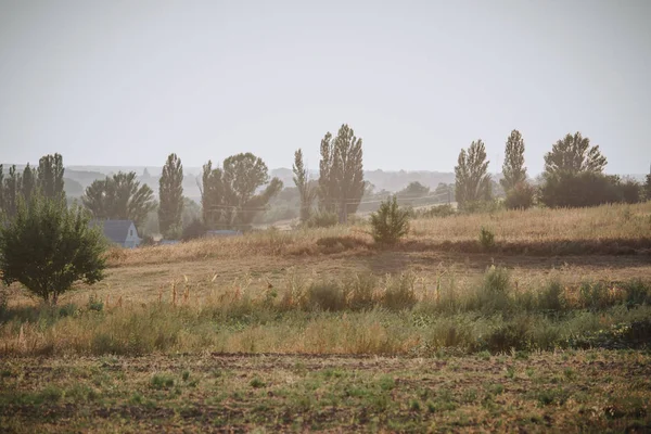 Escena rural con prados y árboles en el campo - foto de stock