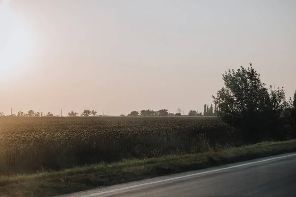 Vista panoramica sulla strada rurale e sul prato in campagna — Foto stock