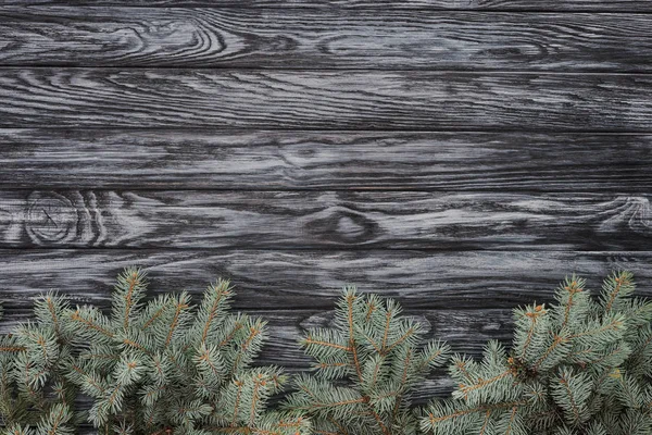 Vista dall'alto di bellissimi rami di conifere sempreverdi su sfondo di legno — Foto stock