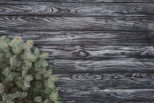 Верхний вид на красивые вечнозеленые еловые ветки на деревянном фоне — стоковое фото